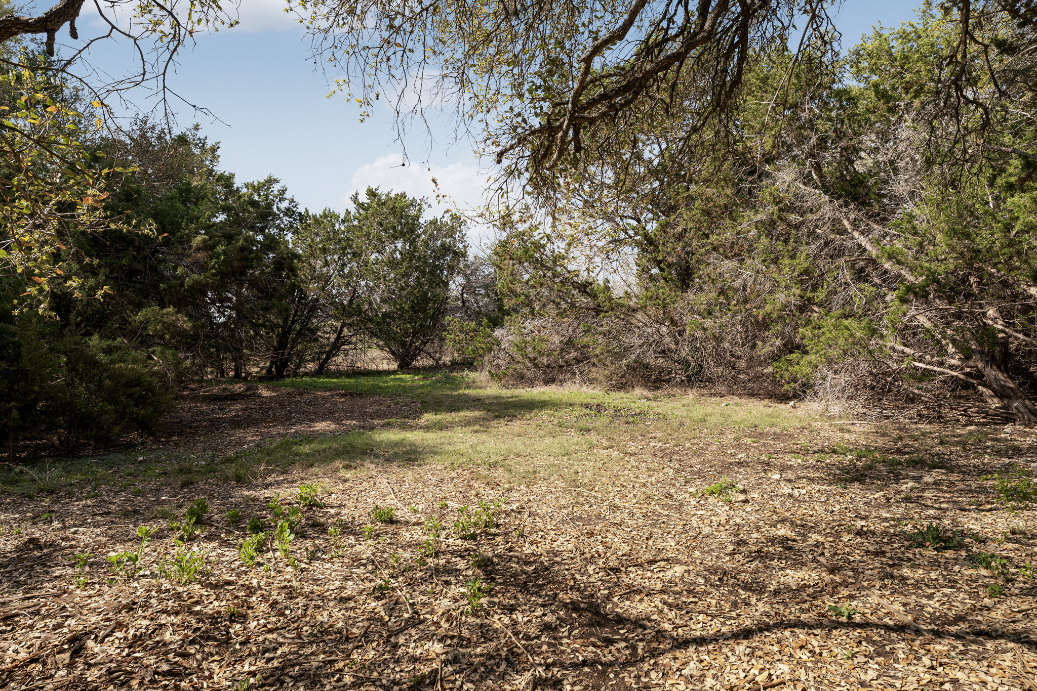 1606 Flint Rock Loop Driftwood, TX 78619 - Photo 35 of 40 Lot goes way back and has a forest feel.