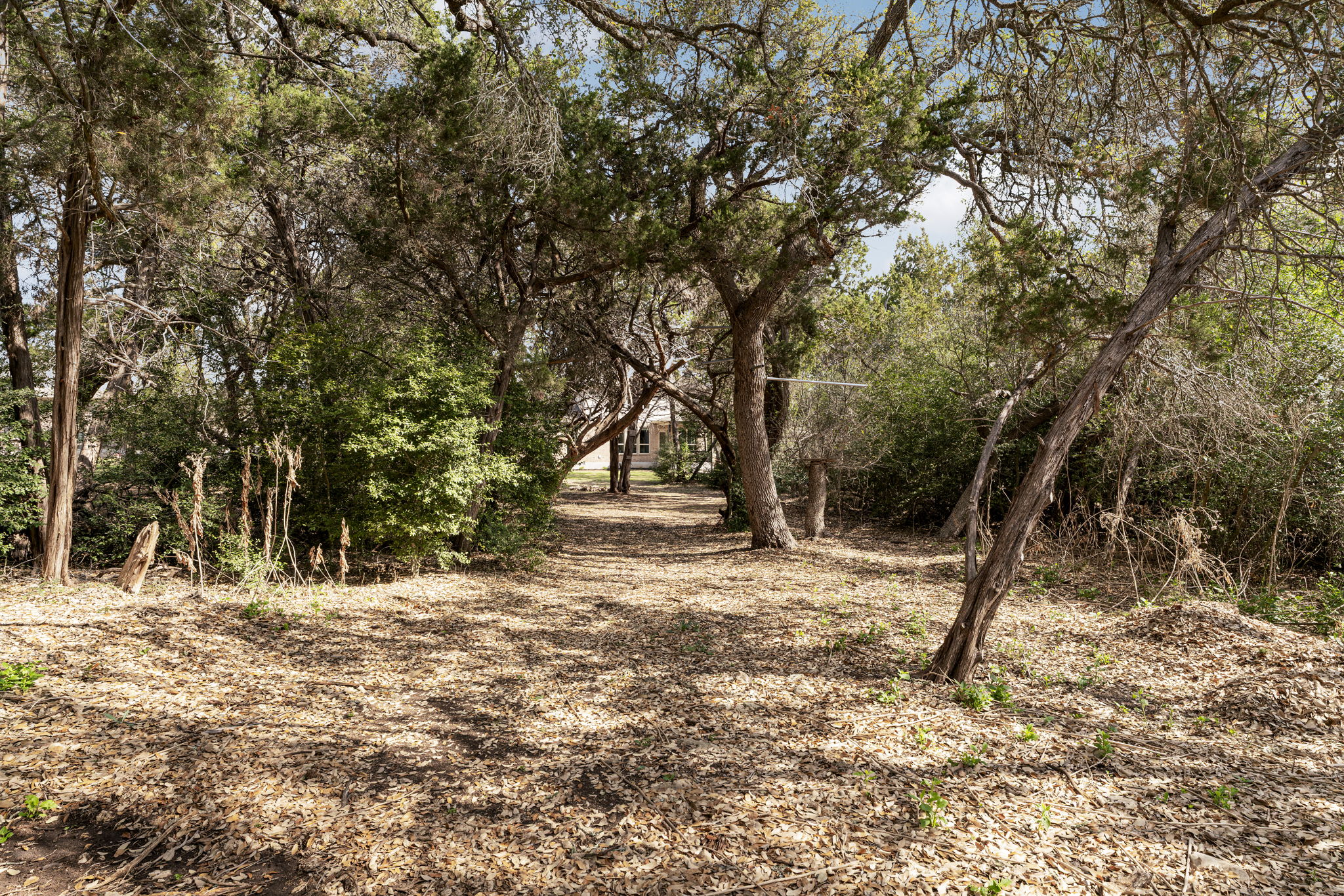 1606 Flint Rock Loop Driftwood, TX 78619 - Photo 38 of 40