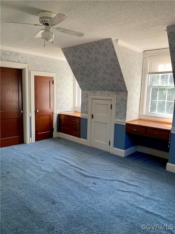 3237 Huntington Trail Cascade, VA 24069 - Photo 27 of 30 Additional living space featuring carpet, a textur