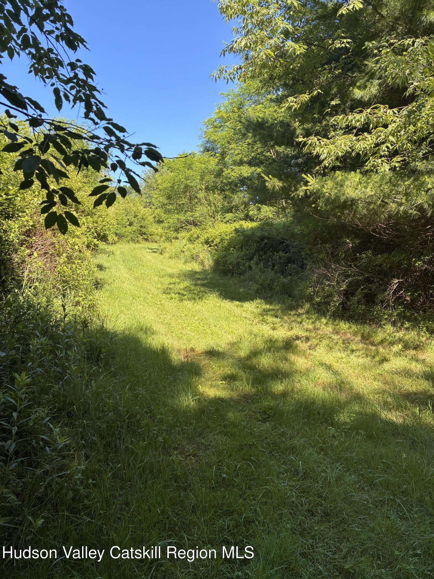 139 County Rte 21c Ghent, NY 12075 - Photo 29 of 55 IMG_1424