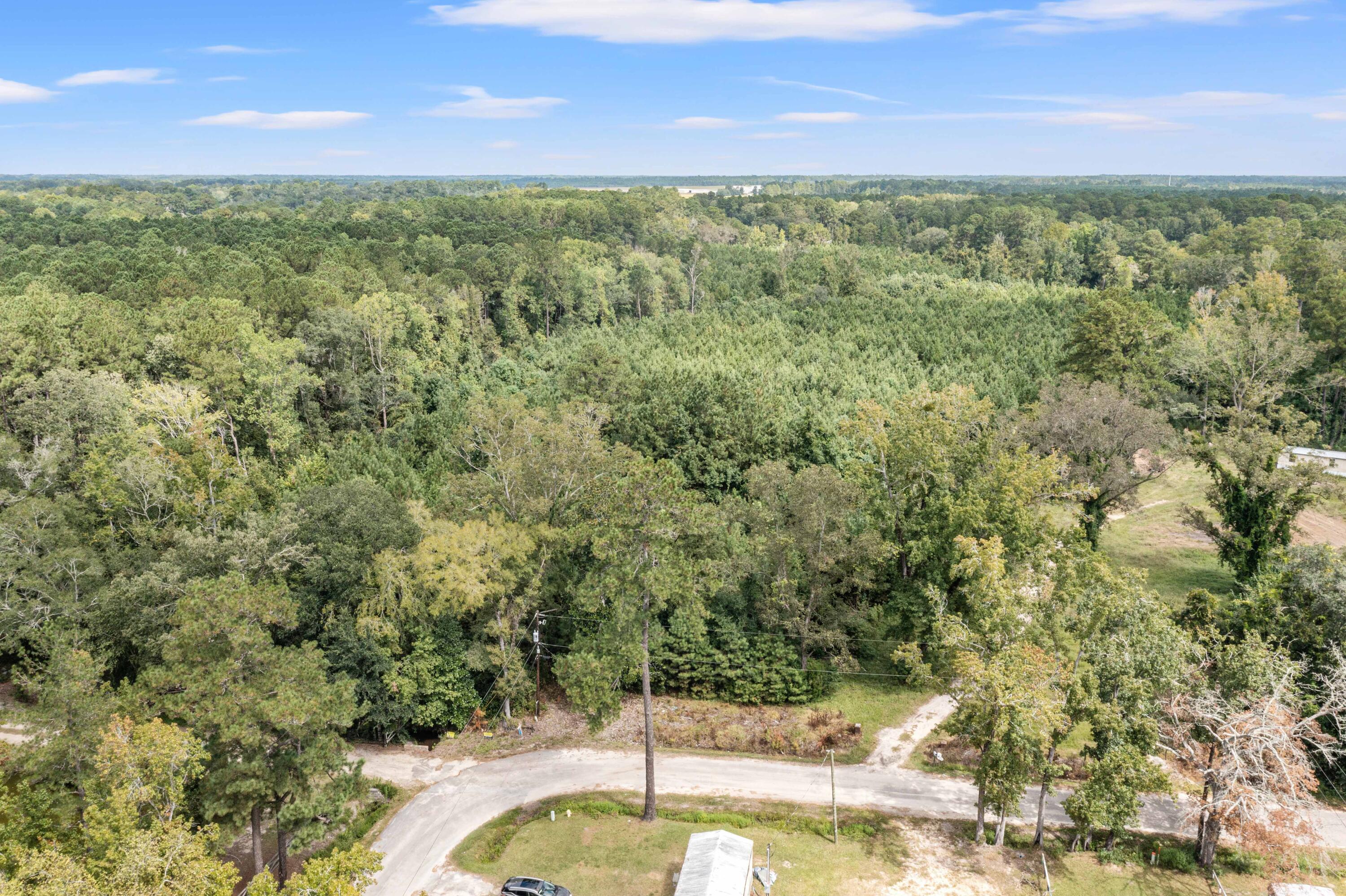 0 Edgewood Street Walterboro, SC 29488 - Photo 3 of 11 DJI_0771