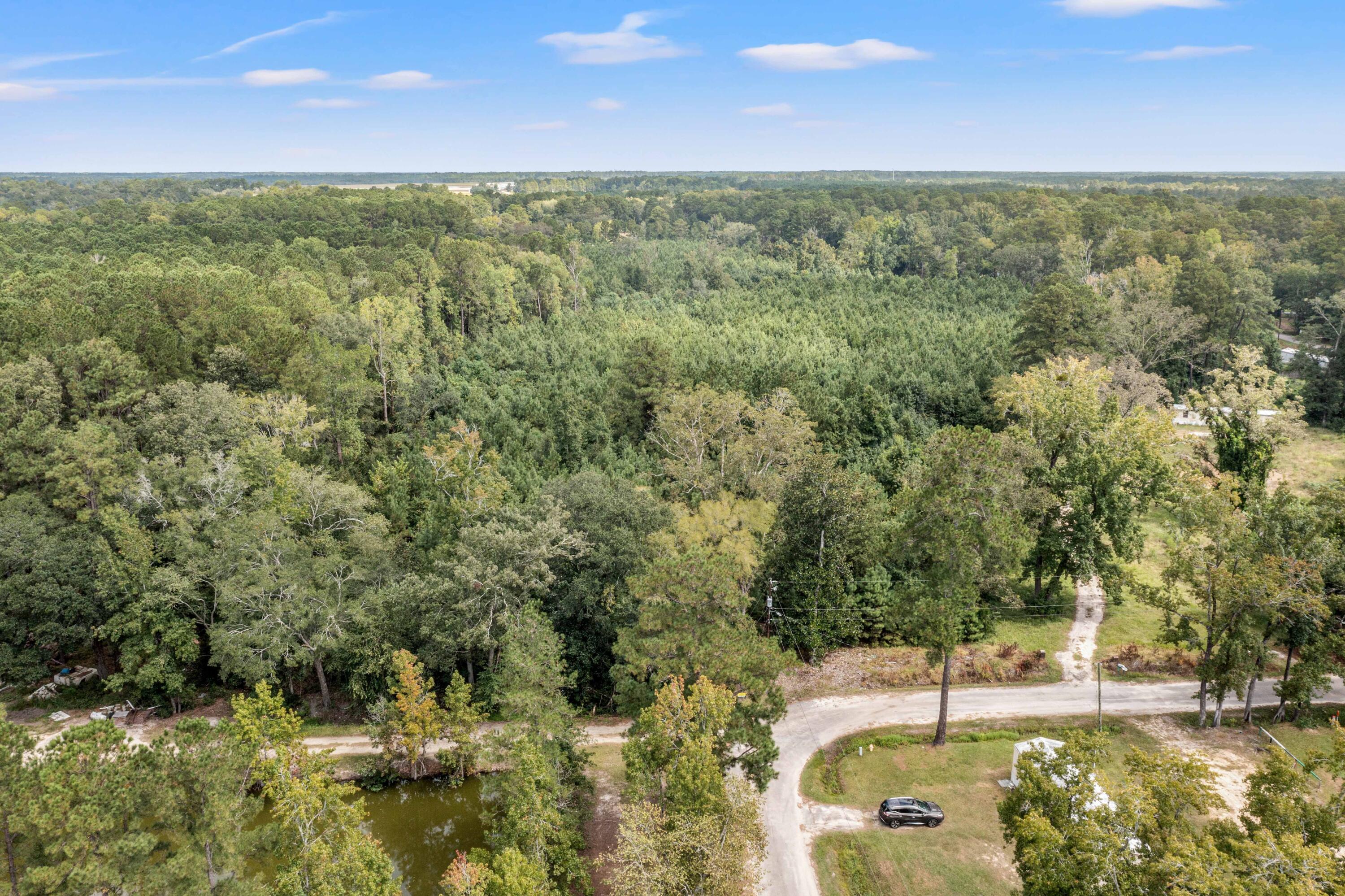 0 Edgewood Street Walterboro, SC 29488 - Photo 4 of 11 DJI_0770