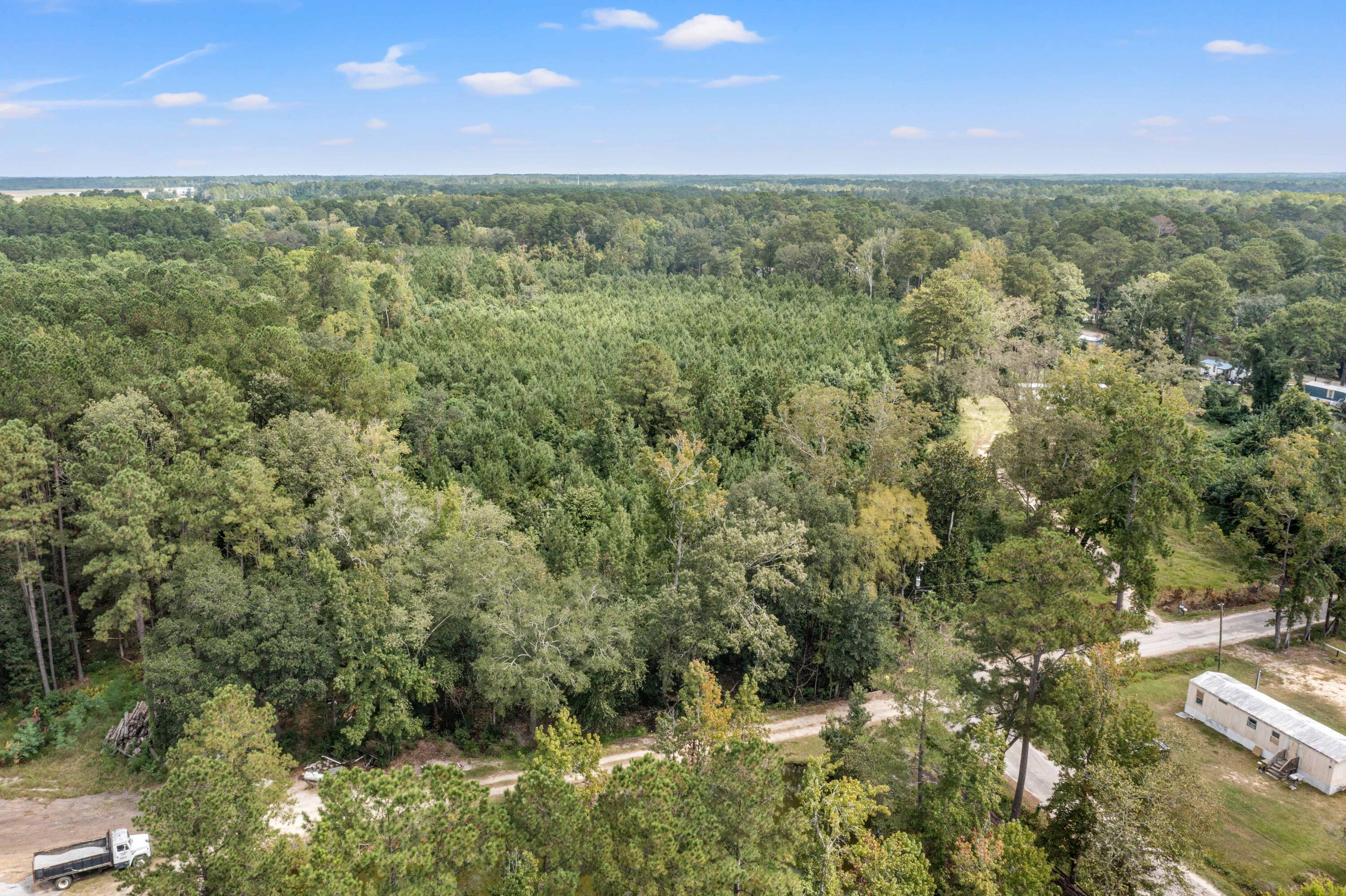 0 Edgewood Street Walterboro, SC 29488 - Photo 5 of 11 DJI_0769