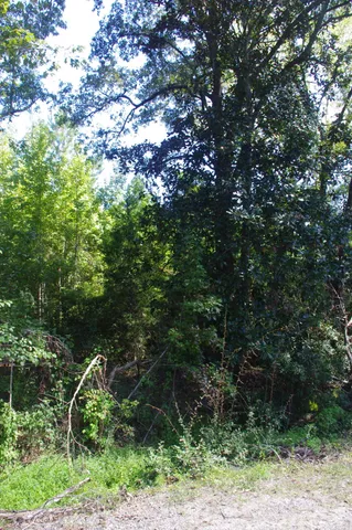 $35,000 | 0 Edgewood Street, Walterboro, SC 29488