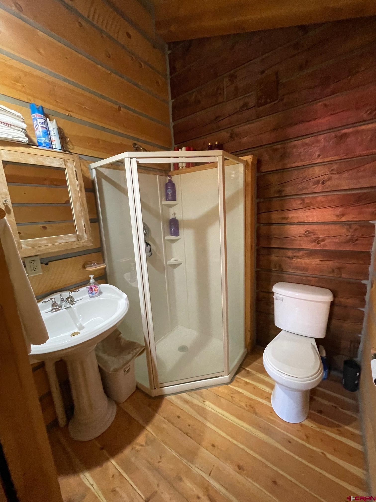 417 State Street Pitkin, CO 81241 - Photo 12 of 23 a bathroom with a toilet and a shower