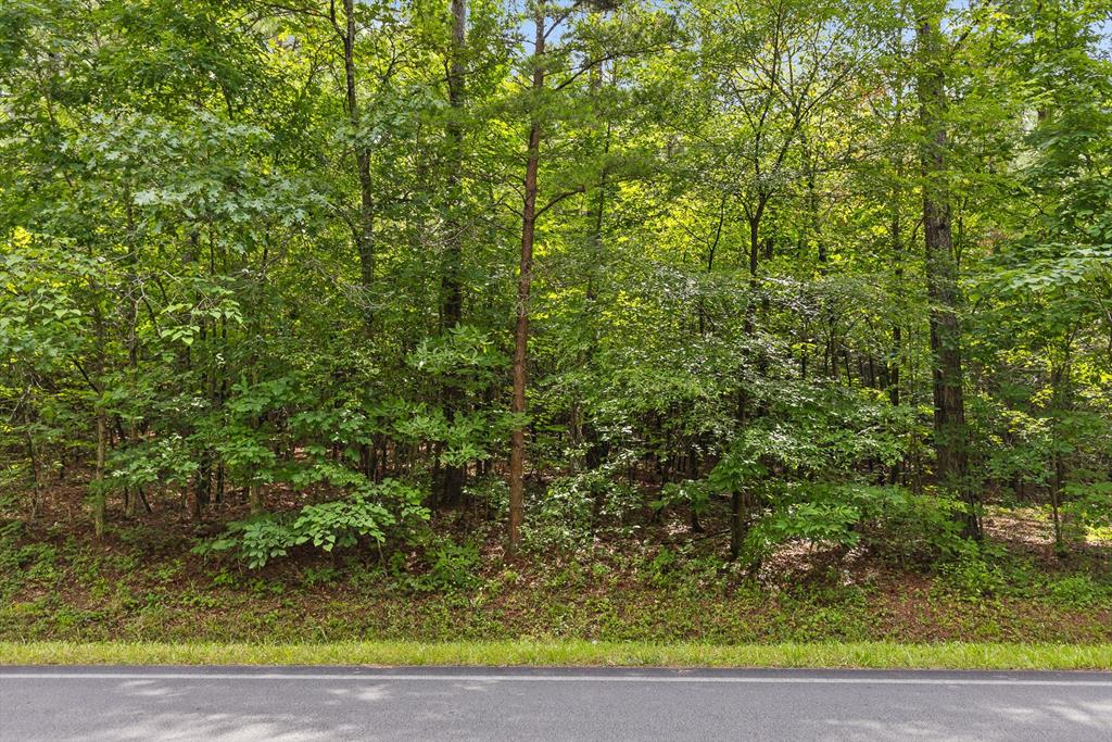 Tr 4-b-1 Conniston Road Chatsworth, GA 30705 - Photo 2 of 19 Gallery Image 2