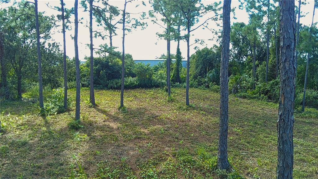 4685 Riverside Drive Punta Gorda, FL 33982 - Photo 3 of 14