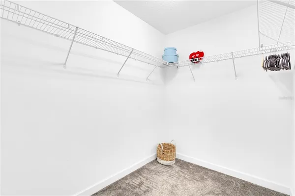 a view of storage and utility room with racks on the wall