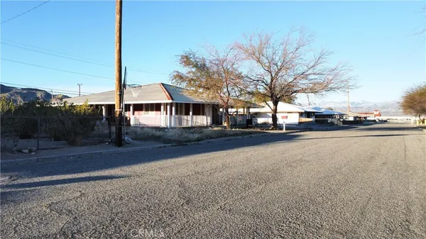 a street view with large trees