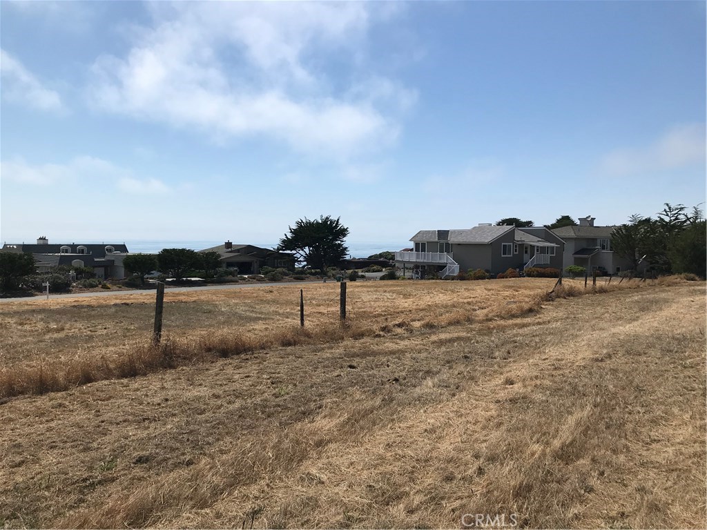 4850 Windsor Boulevard Cambria, CA 93428 - Photo 11 of 23 a view of a dry yard