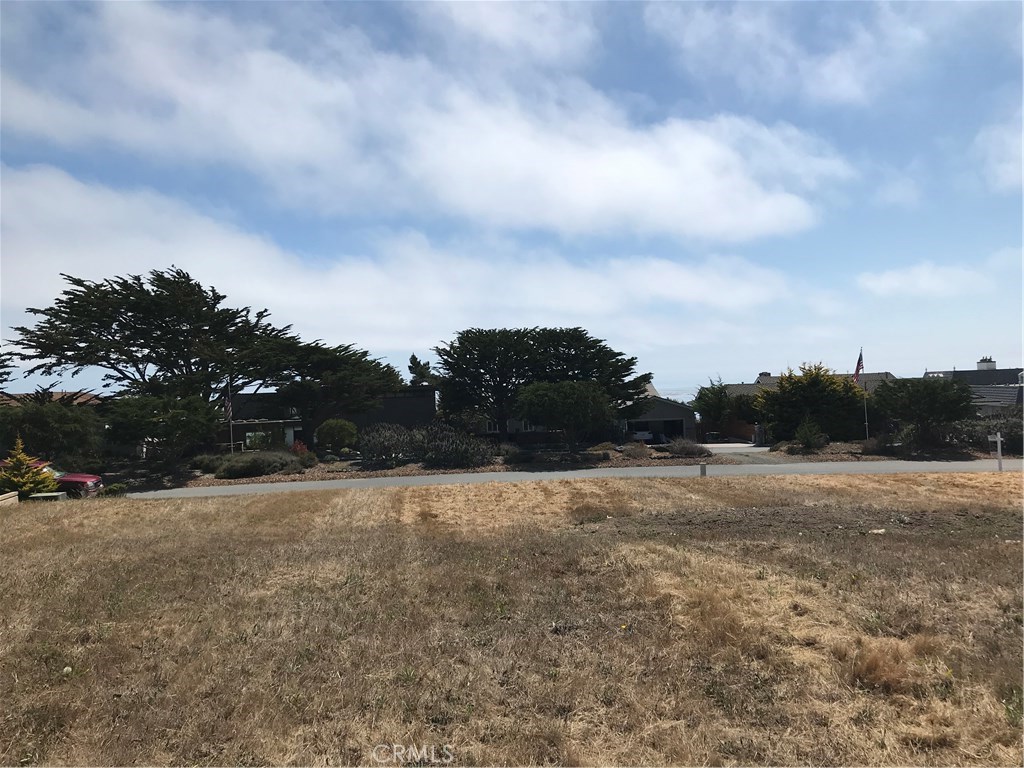 4850 Windsor Boulevard Cambria, CA 93428 - Photo 7 of 23 a view of dirt field with trees