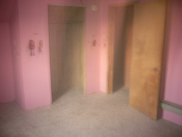 69640 West County Line Road Nappanee, IN 46550 - Photo 6 of 11