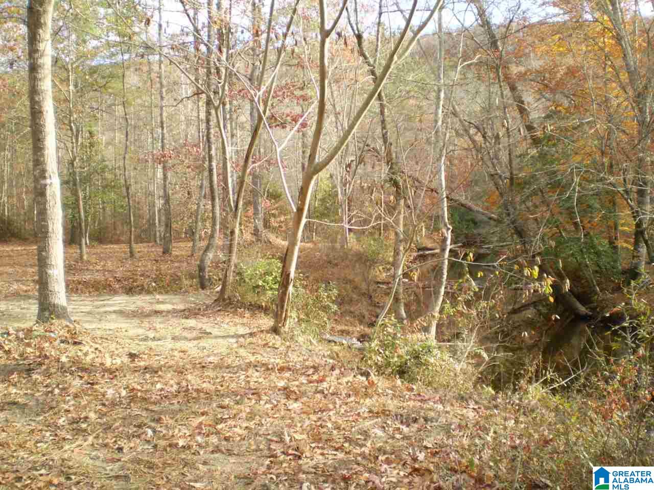 172 Waldrop Road, Unit 9 Ashville, AL 35953 - Photo 35 of 36