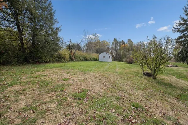 a view of a field with trees in the background