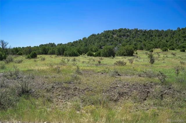 a view of a big yard with lots of green space