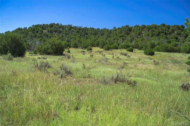 a view of a lush green space with sea
