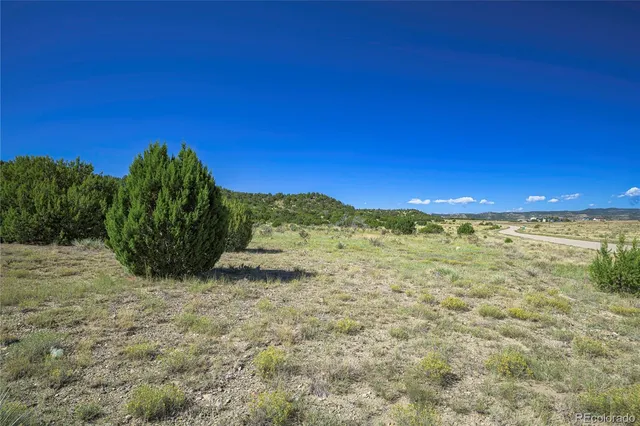 a view of a large trees with mountains in the background