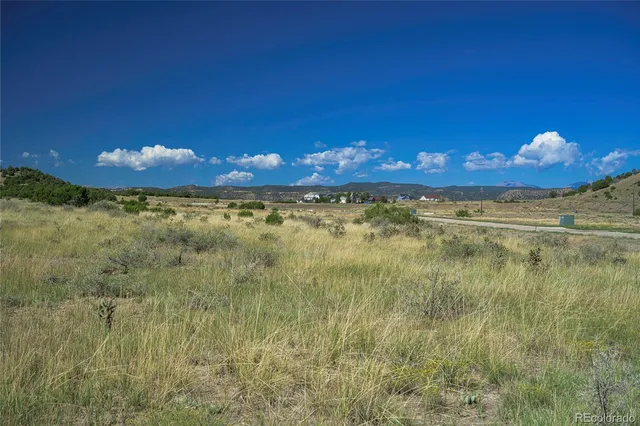 a view of a yard with swimming pool