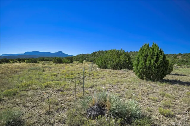 a view of an outdoor space and a yard