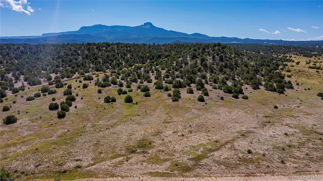 a view of city and mountain