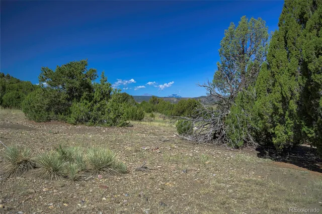a view of a yard with an trees