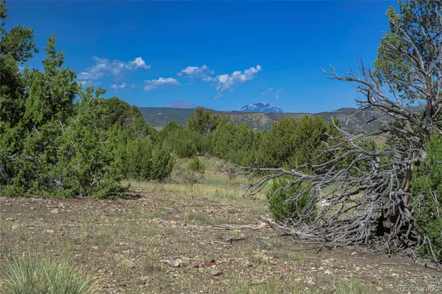 a view of a yard with an trees