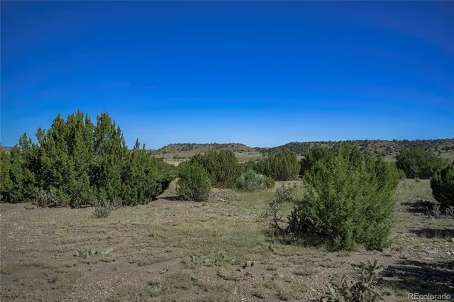 a view of a mountain range with trees in the background