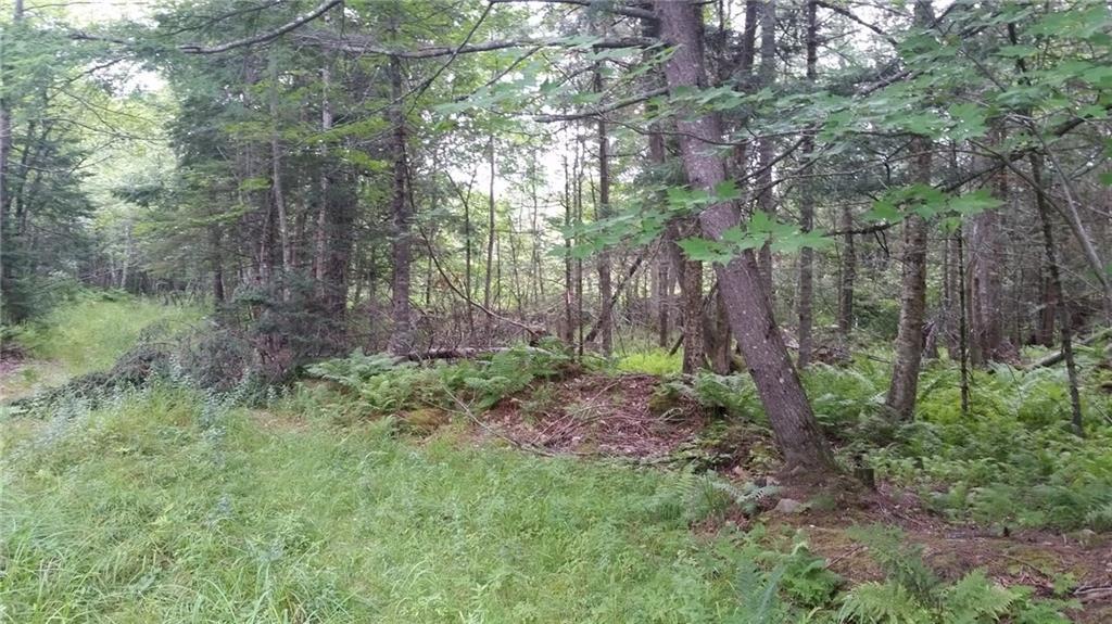0 Garden Road, Unit LOT 1 Monroe, ME 04951 - Photo 2 of 11 Photo