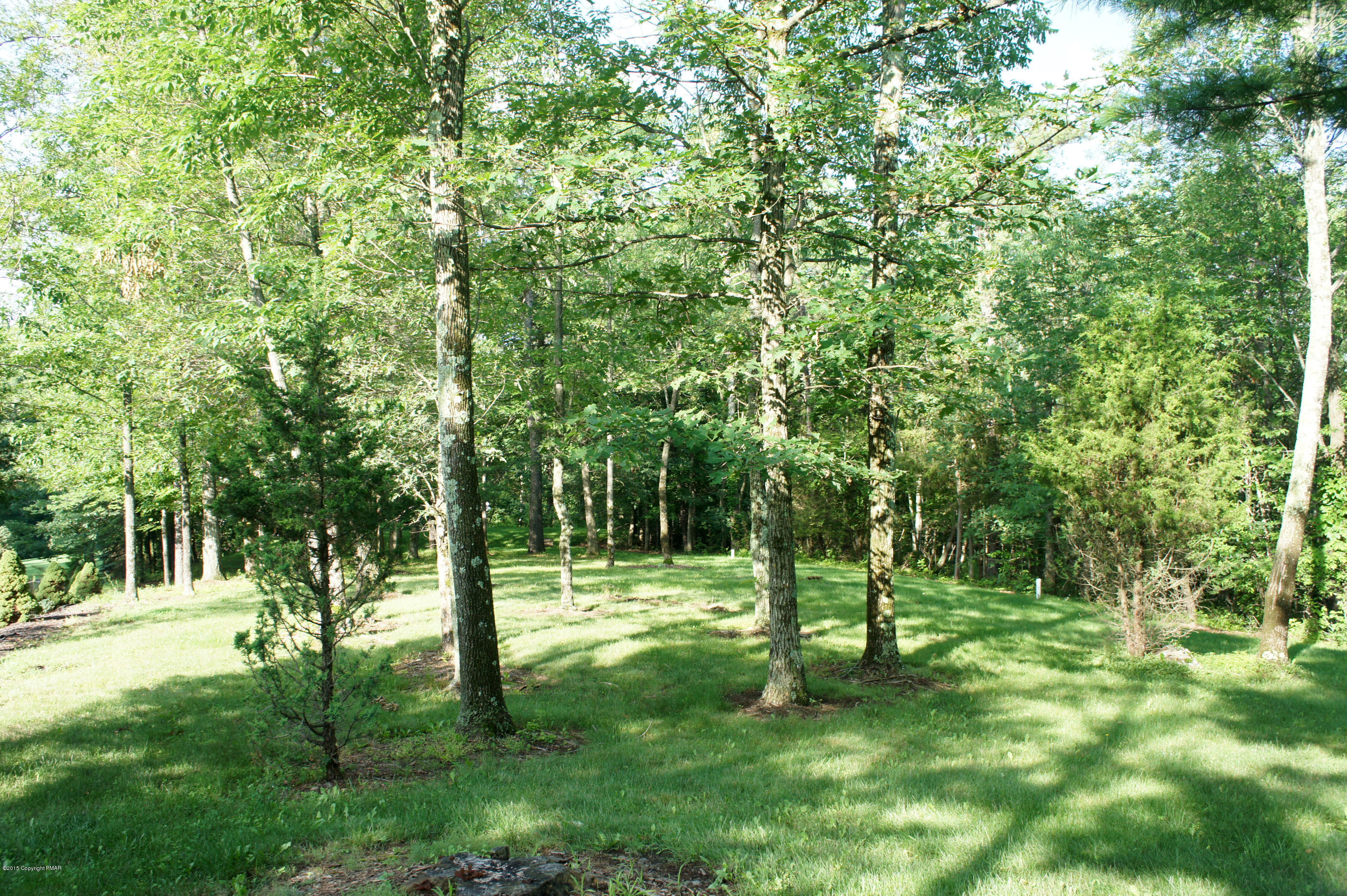 1426 Kelly Road Stroudsburg, PA 18360 - Photo 45 of 52 Large Yard