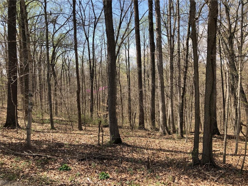 623 Sherwood Road Mitchell, IN 47446 - Photo 3 of 7