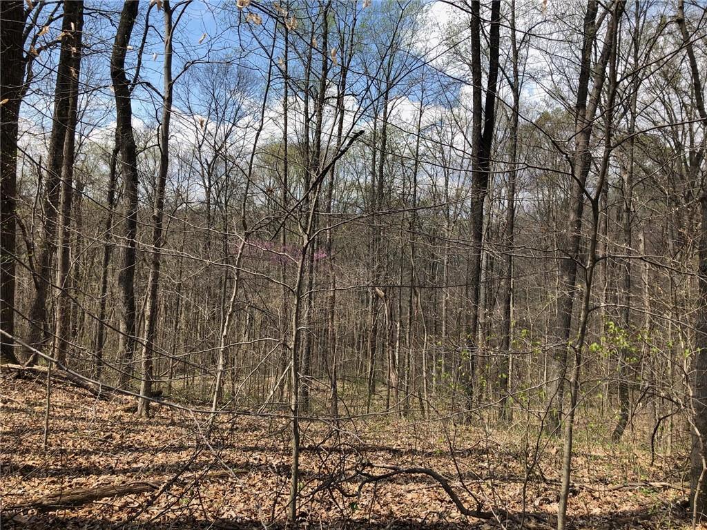 623 Sherwood Road Mitchell, IN 47446 - Photo 5 of 7