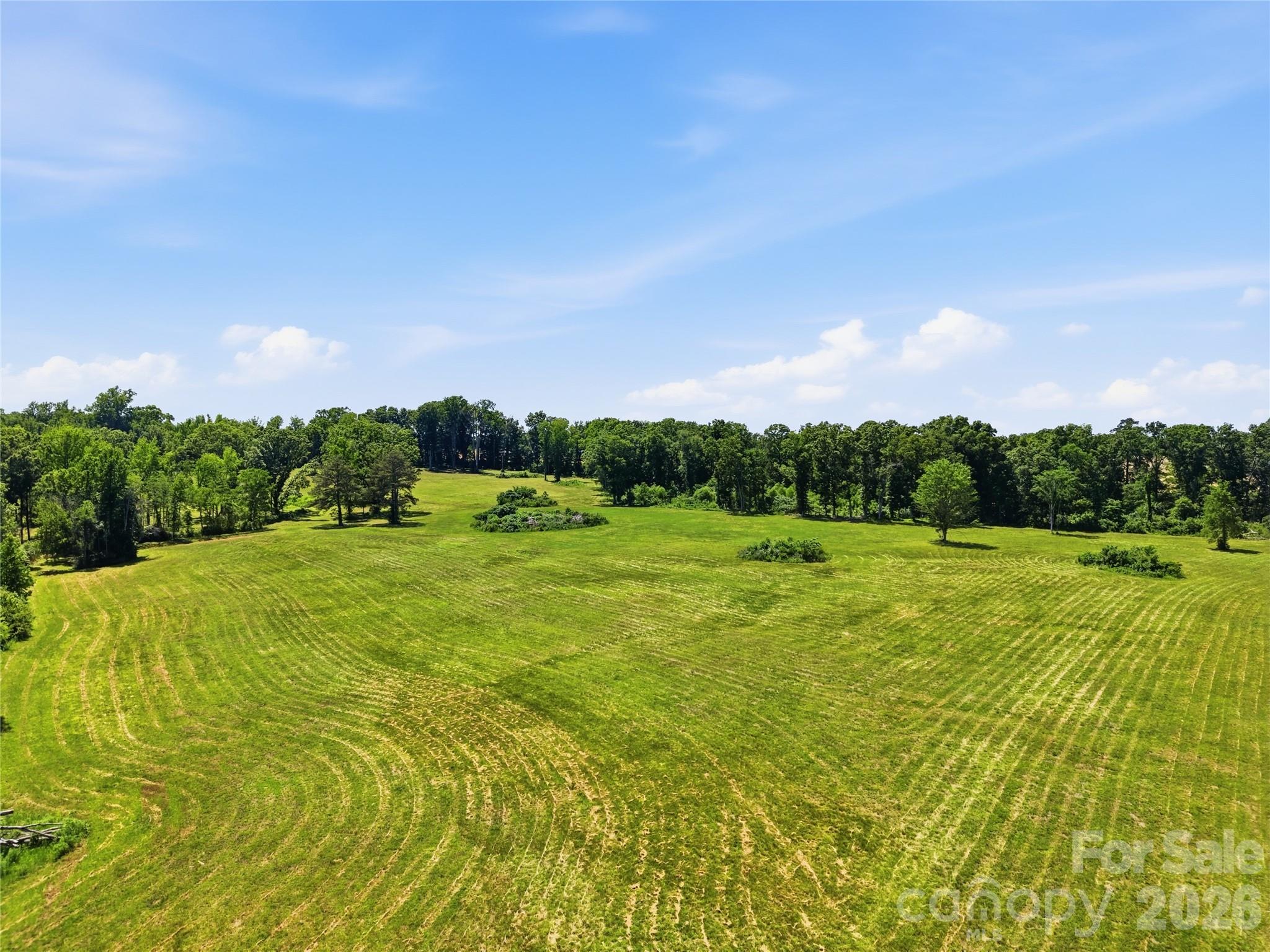 438 Able Road McConnells, SC 29726 - Photo 4 of 10 a view of an outdoor space and a yard