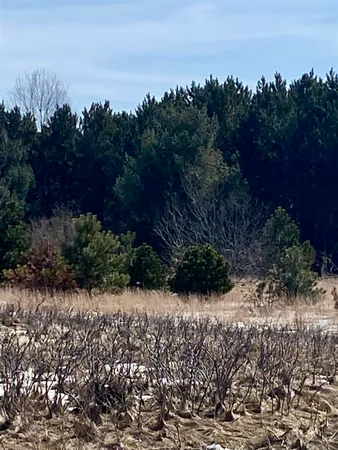 $42,500 | 7430 Rapid City Road Northwest, Unit LOT #1, Rapid City, MI 49676
