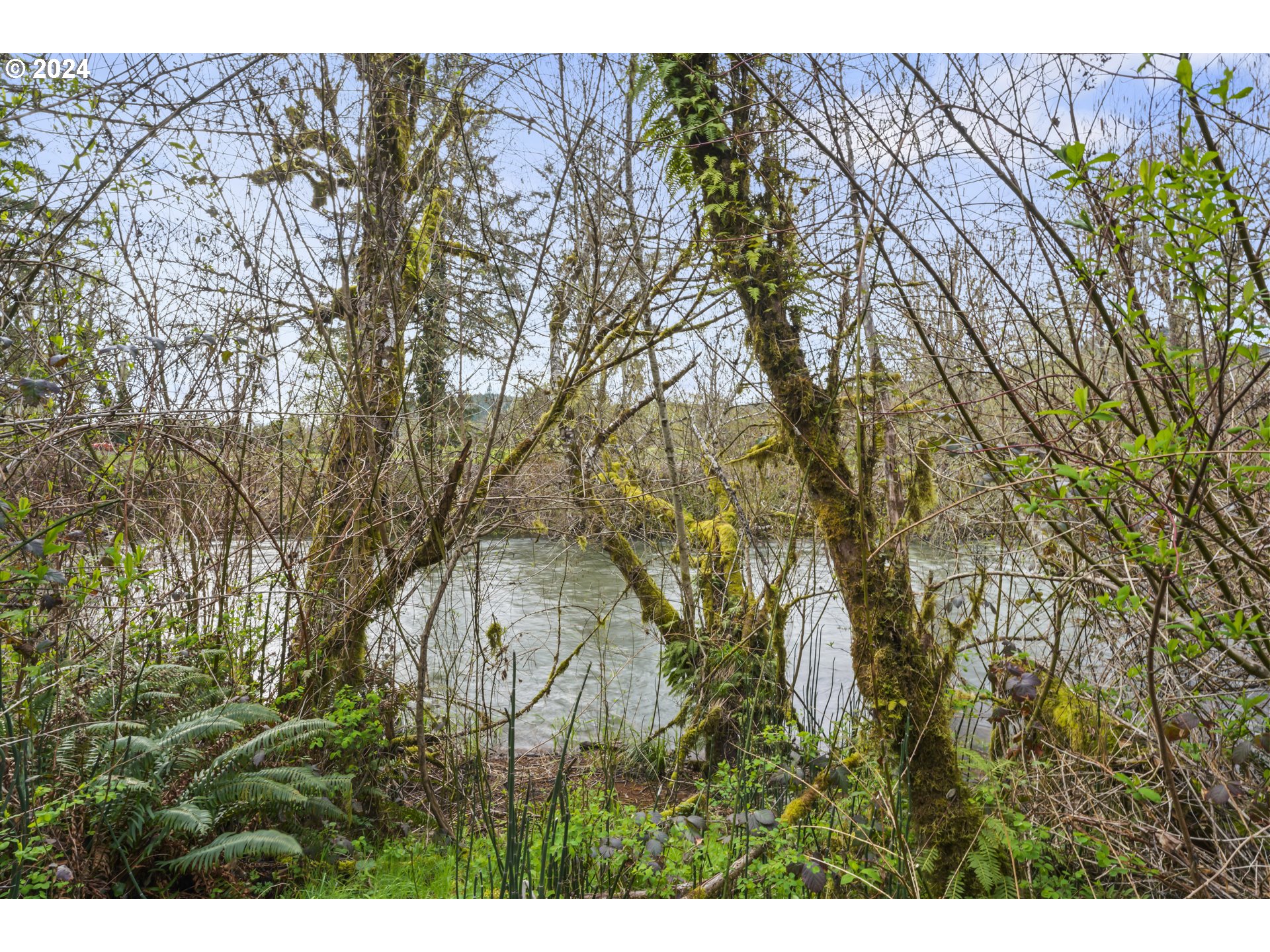 38513 Wendling Road Marcola, OR 97454 - Photo 38 of 41 Gallery Image 38