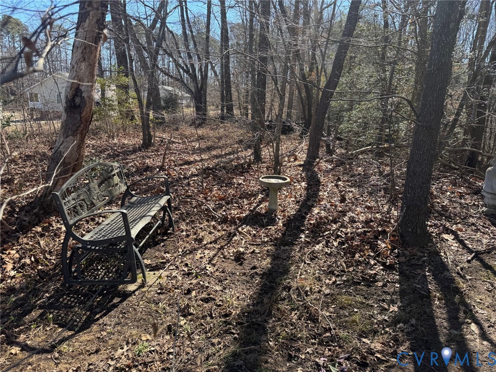 388 Berry Ridge Road Tappahannock, VA 22560 - Photo 23 of 25 a view of yard
