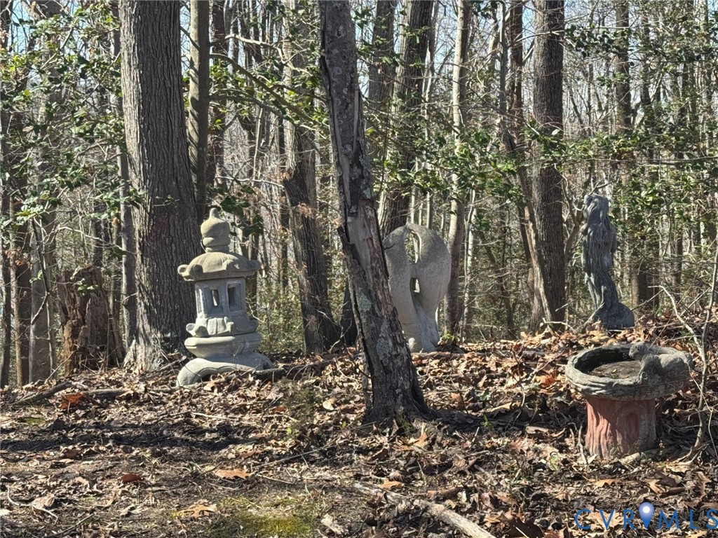 388 Berry Ridge Road Tappahannock, VA 22560 - Photo 24 of 25 a view of a house with a yard and tree