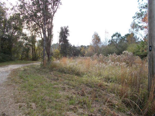 12230 Bay Road West Foley, AL 36535 - Photo 7 of 26