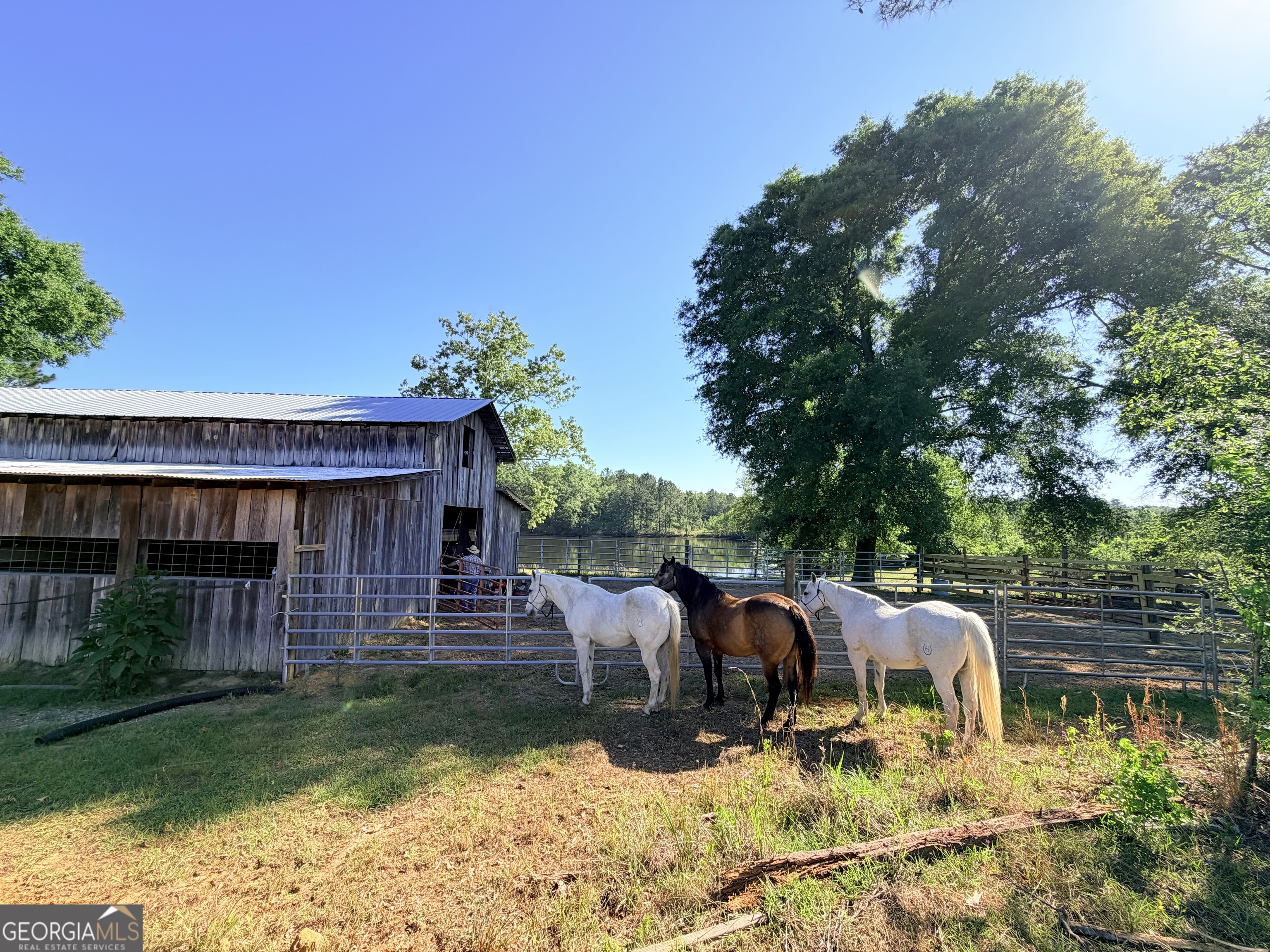 1525 Telfair Line Road Rhine, GA 31077 - Photo 44 of 80