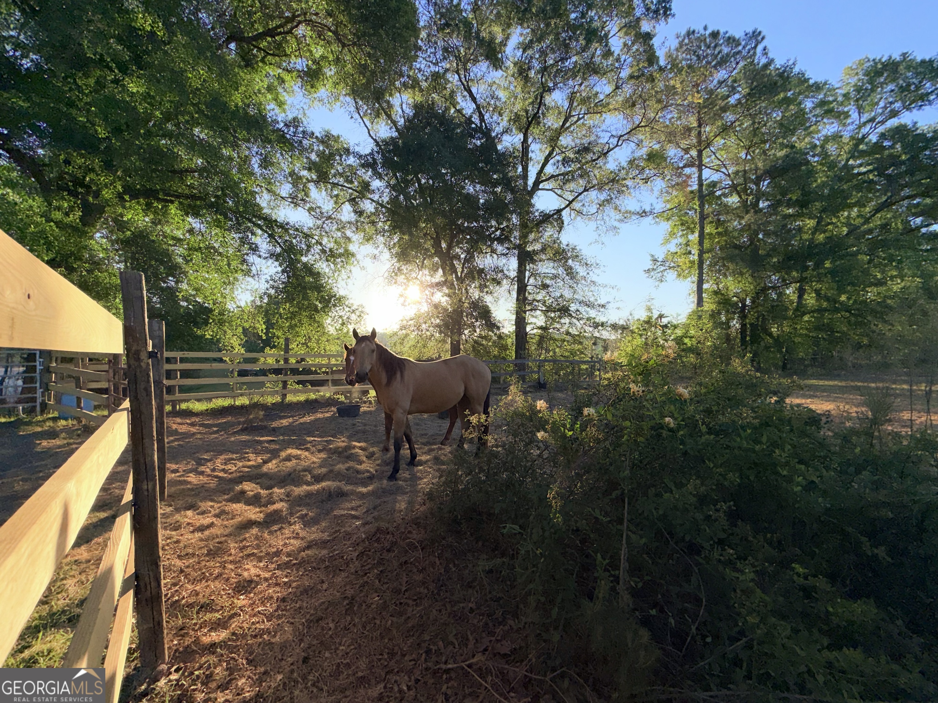 1525 Telfair Line Road Rhine, GA 31077 - Photo 45 of 80