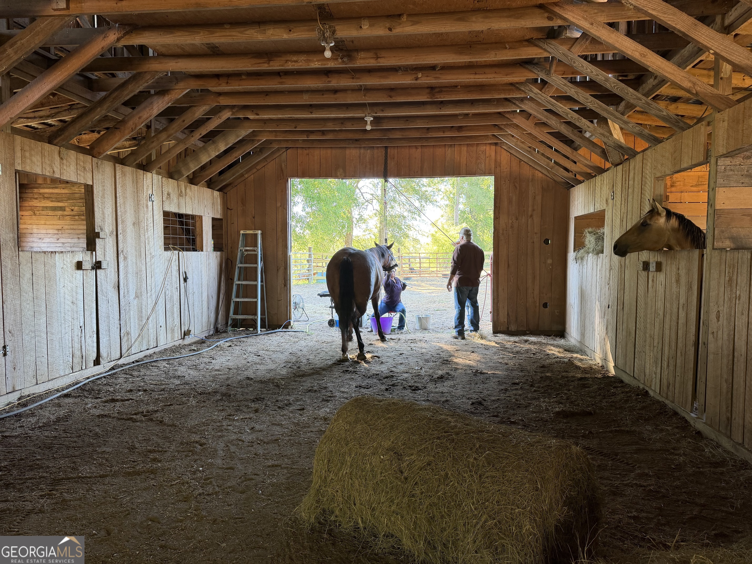 1525 Telfair Line Road Rhine, GA 31077 - Photo 49 of 80