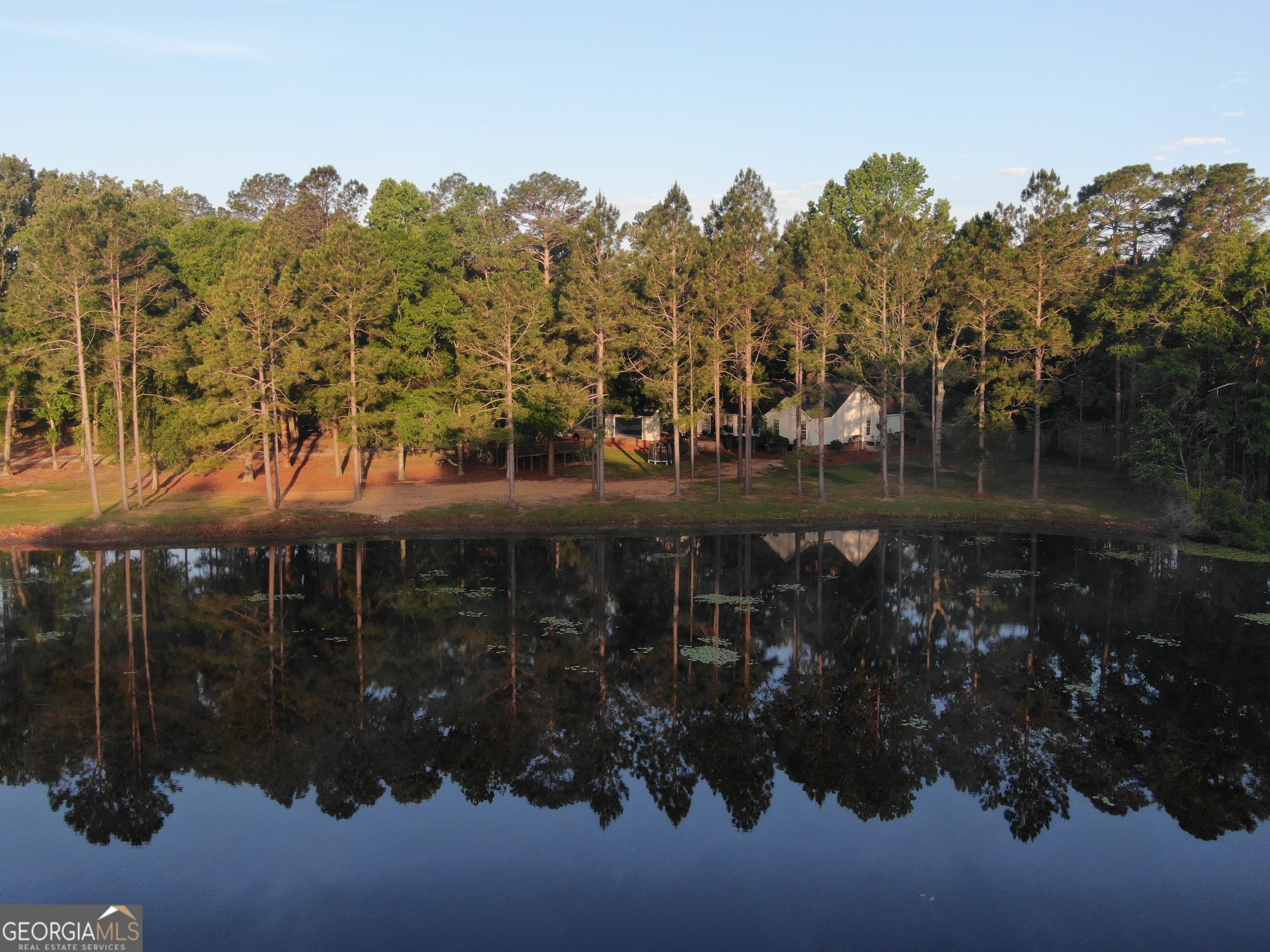 1525 Telfair Line Road Rhine, GA 31077 - Photo 59 of 80