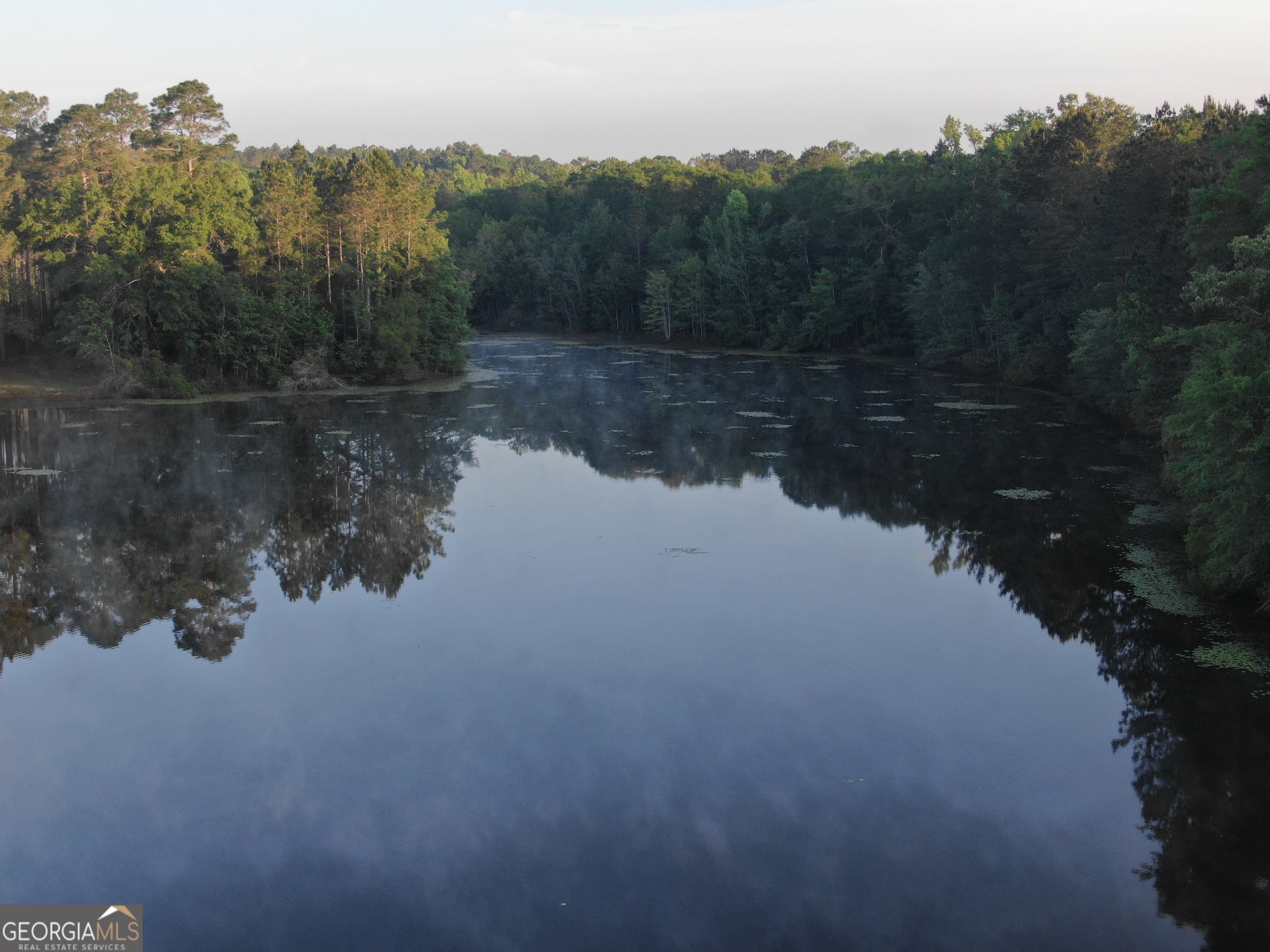 1525 Telfair Line Road Rhine, GA 31077 - Photo 61 of 80