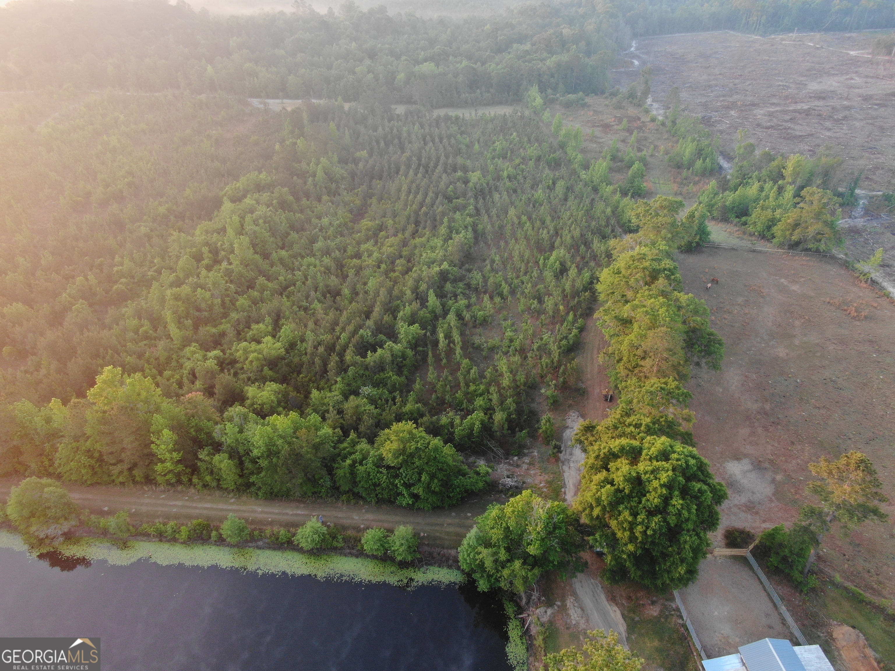 1525 Telfair Line Road Rhine, GA 31077 - Photo 64 of 80