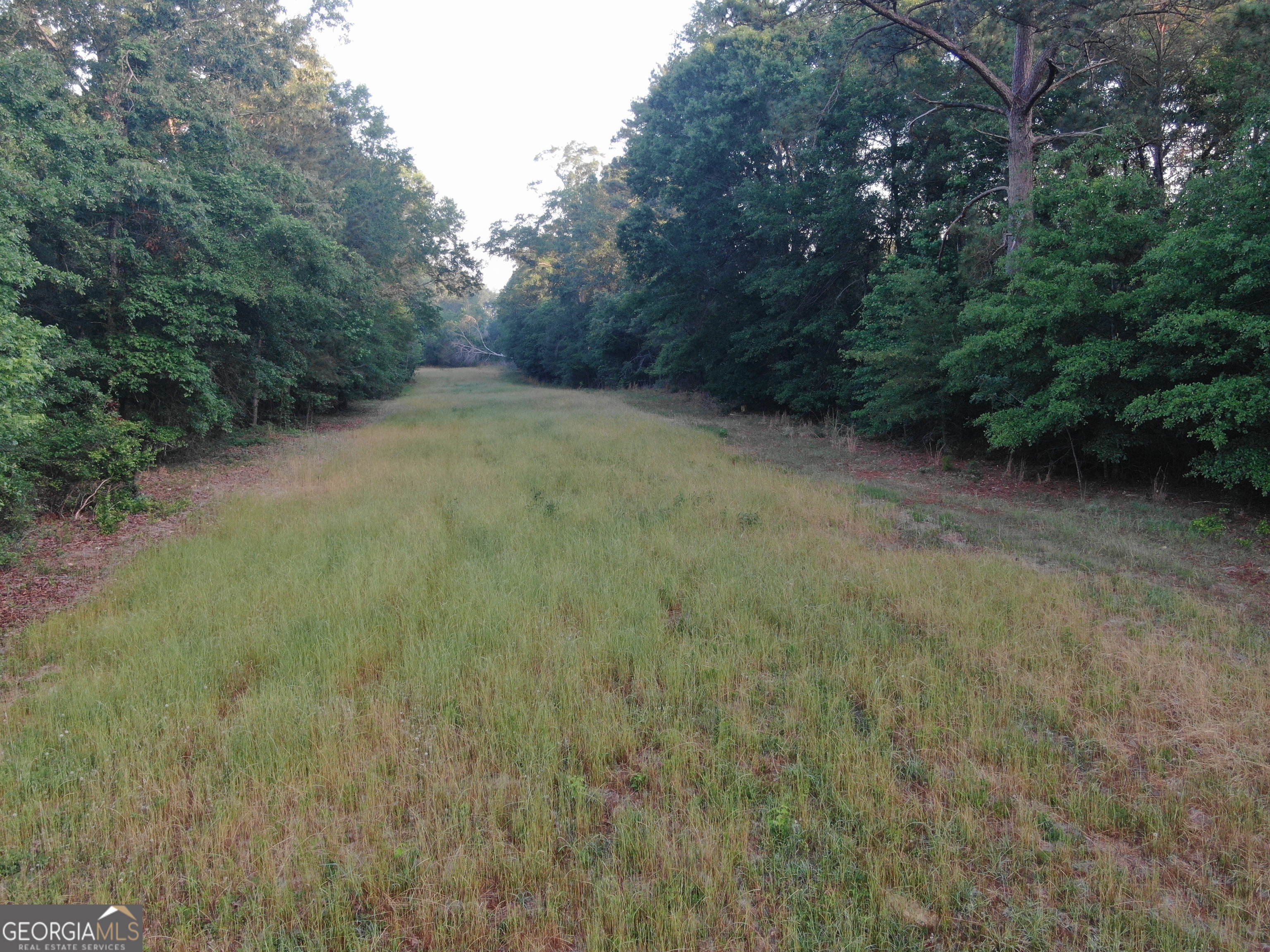 1525 Telfair Line Road Rhine, GA 31077 - Photo 70 of 80