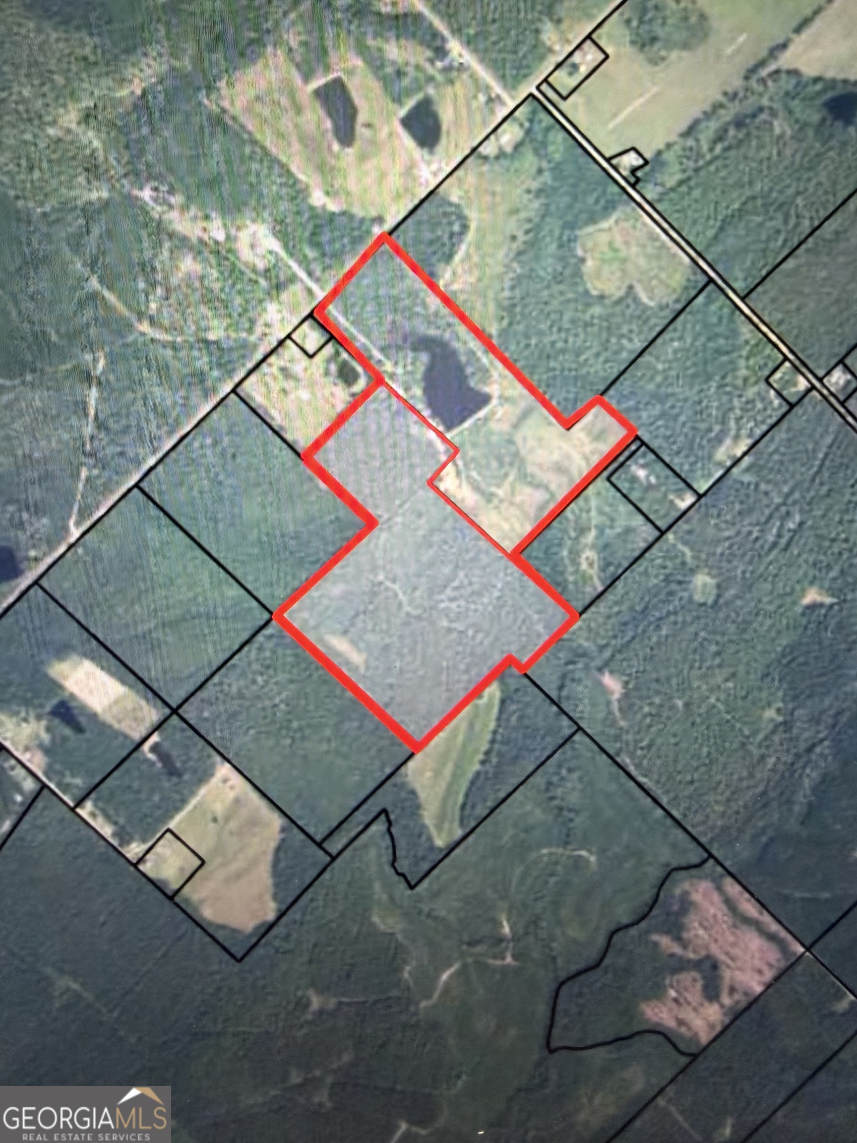 1525 Telfair Line Road Rhine, GA 31077 - Photo 7 of 80