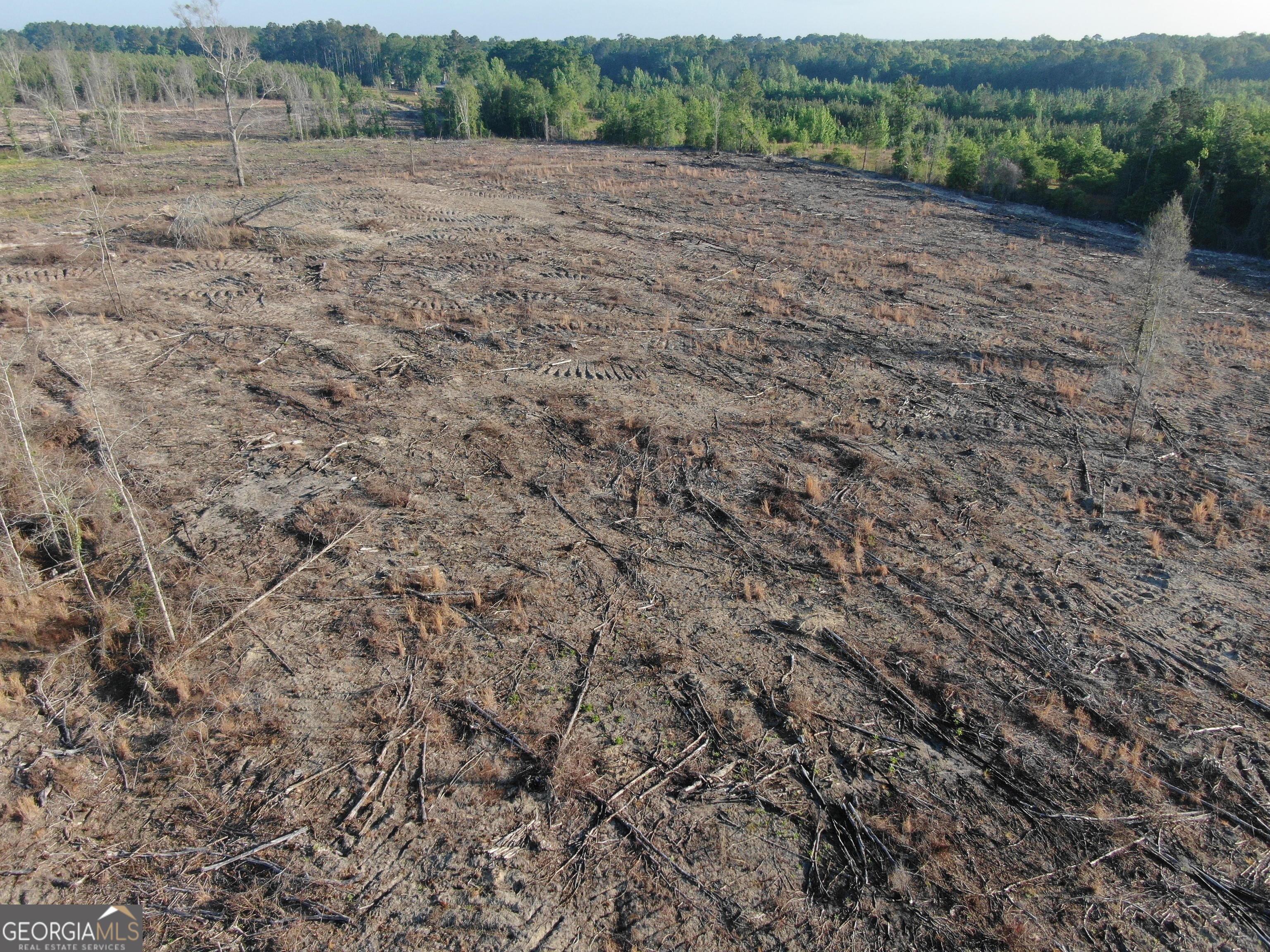 1525 Telfair Line Road Rhine, GA 31077 - Photo 74 of 80
