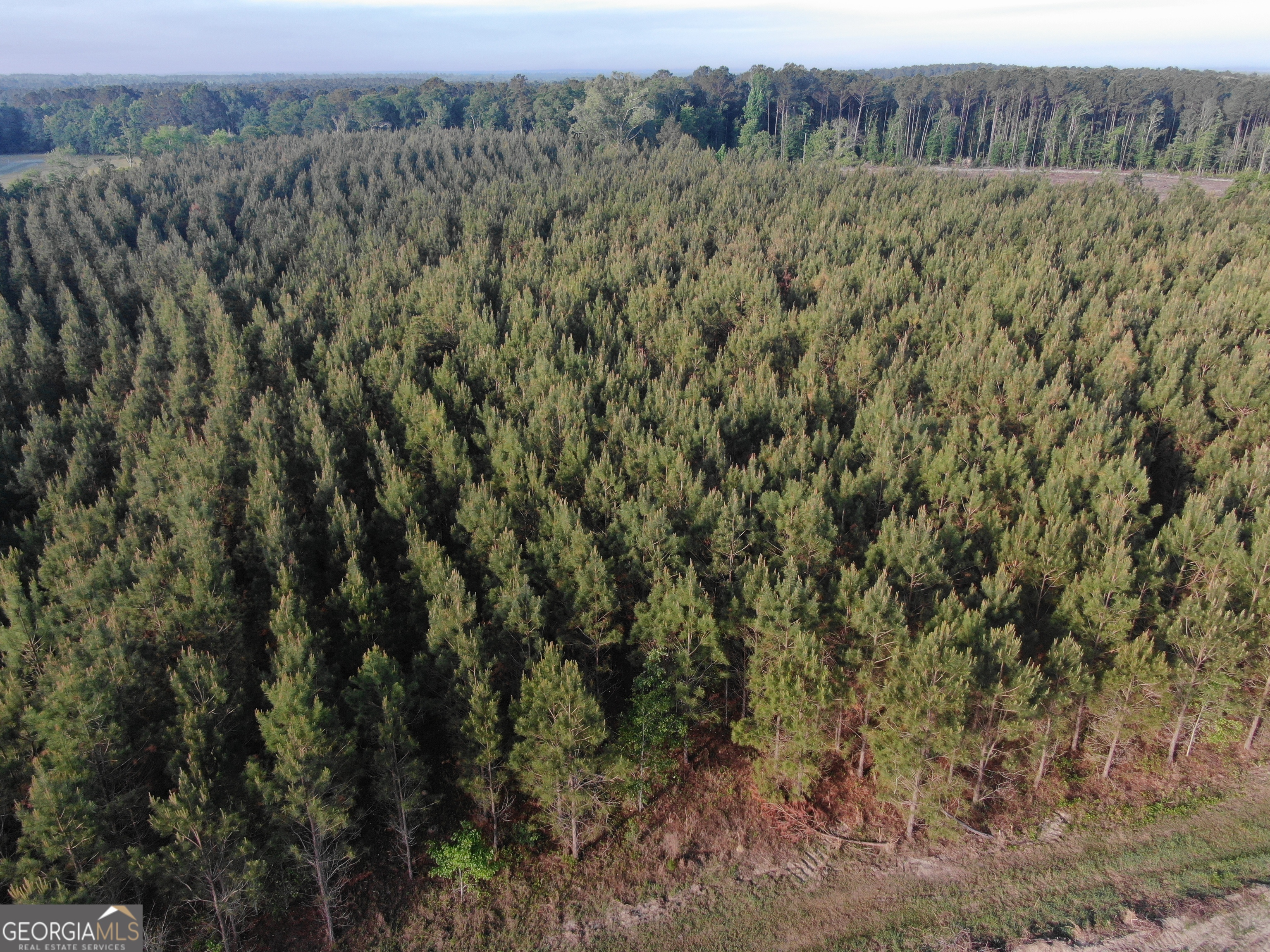 1525 Telfair Line Road Rhine, GA 31077 - Photo 75 of 80