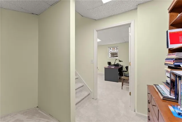 a backyard of a house with plants and large trees