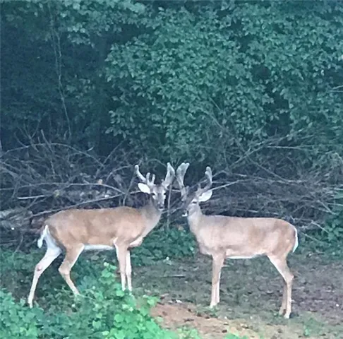 $714,000 | 300 Farm Track, Roswell, GA 30075