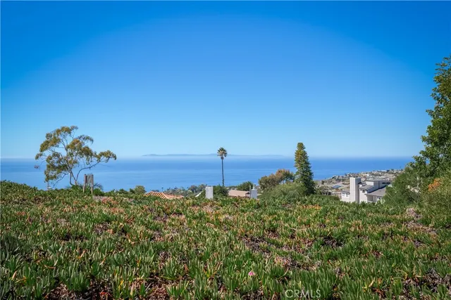 a view of a house with a yard and potted plants